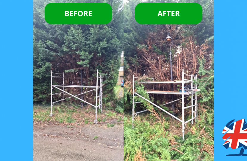 Cllr Joseph Smyth Rothwell and Mawsley Conservatives tackles tree issue